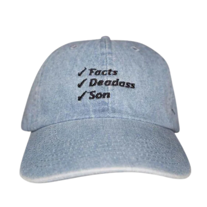 Facts Dad Hat