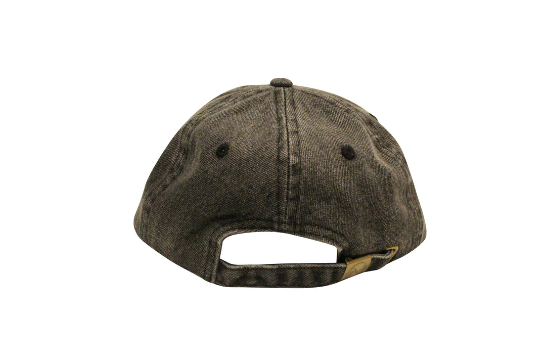 Facts Dad Hat