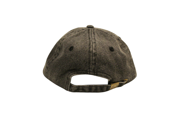 Facts Dad Hat