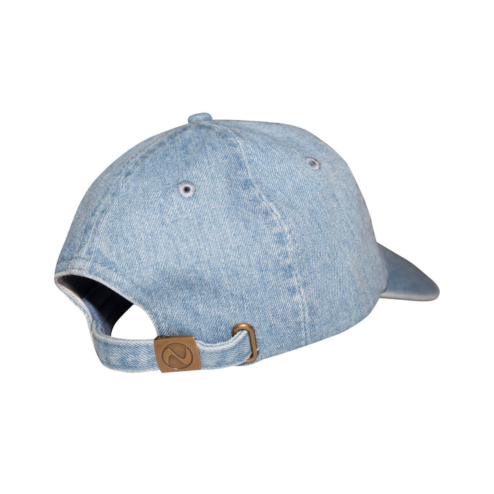 Facts Dad Hat